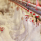 Chicken Farm Poultry