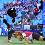 Pic courtesy of © Vodacom Bulls