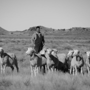 Jaco Pieterse